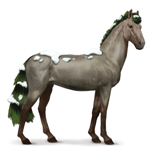 cheval des saisons hiver